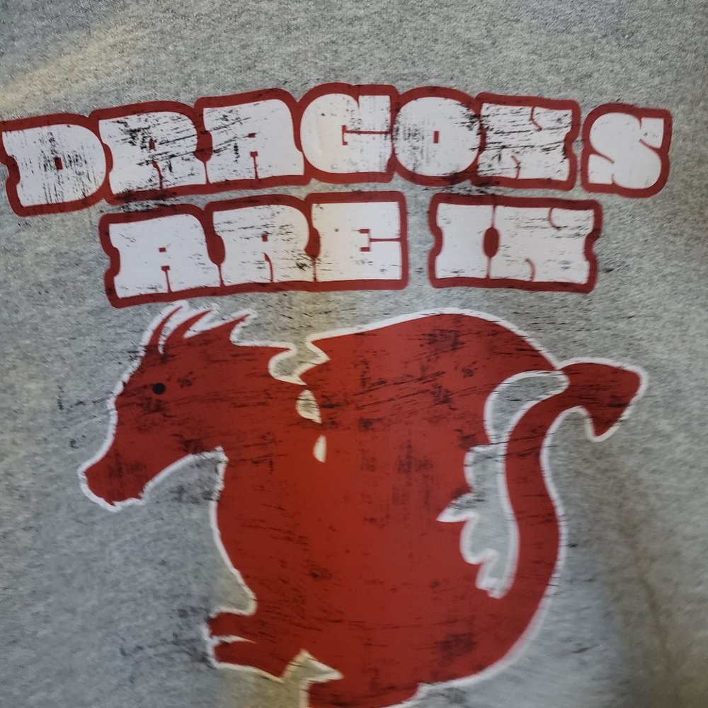 Dragon Hoodie , Red dragon on front black dragon on back color grey red black. M